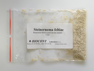 Steinernema feltiae - parazitické hlístice od firmy Biocont