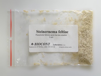 Steinernema Feltiae